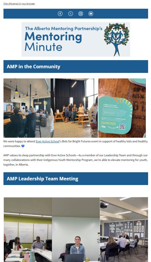 Newsletter Preview
